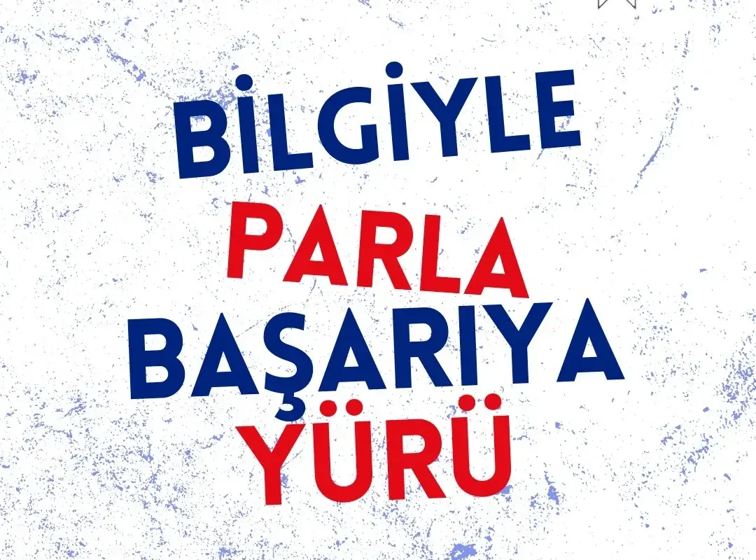 Baykuş Akademi Seo, sosyal medya yönetimi ve web tasarım