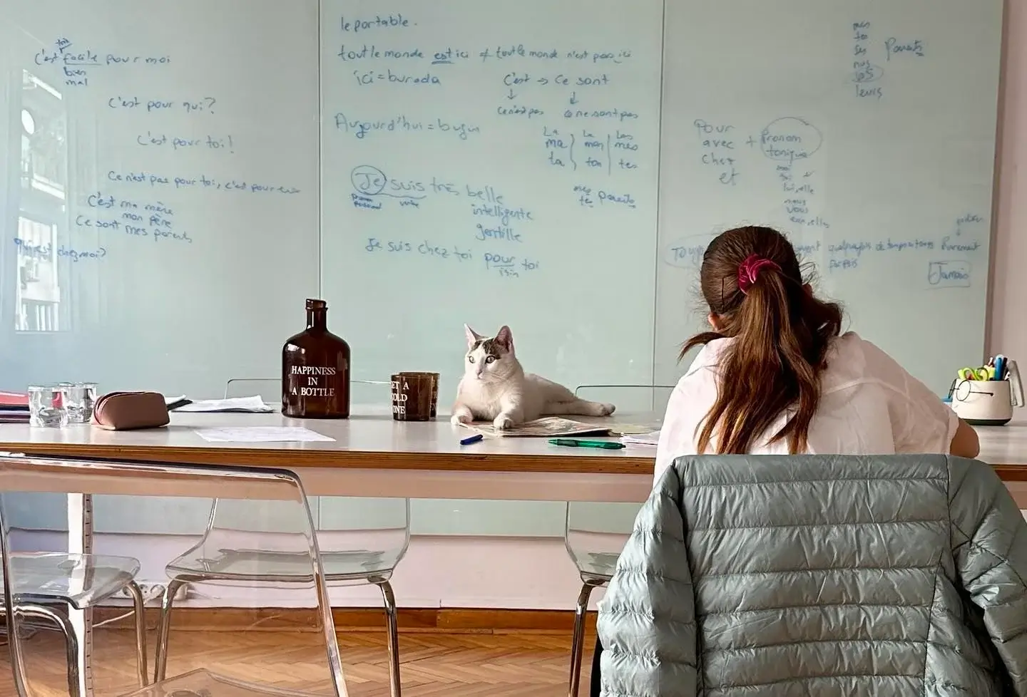 Baykuş Akademi sosyal medya yönetimi ve Seo, web tasarım