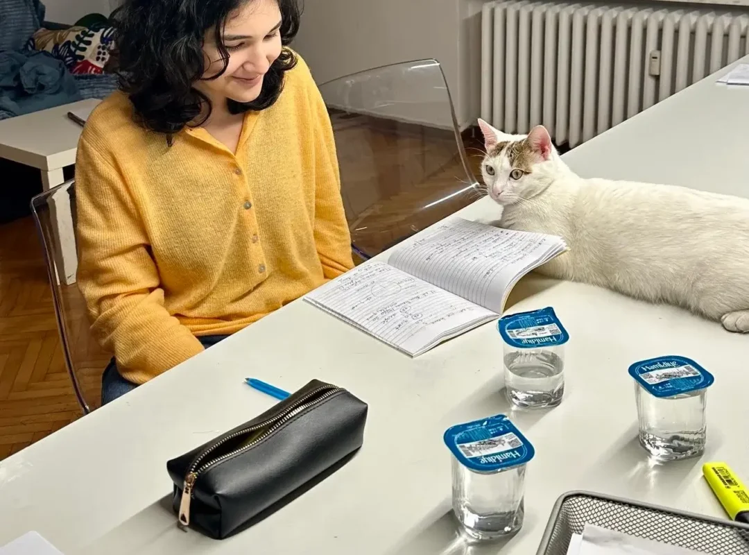 Baykuş akademi web tasarım sosyal medya yönetimi