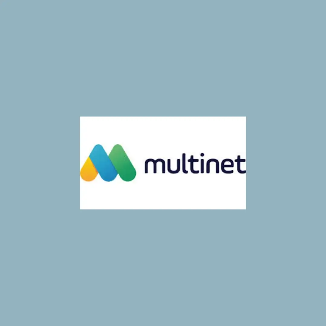 Multinet 1 Numara - Excary Dijital pazarlama ile büyüyor