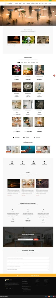 Kurumsal Web Sitesi No.11