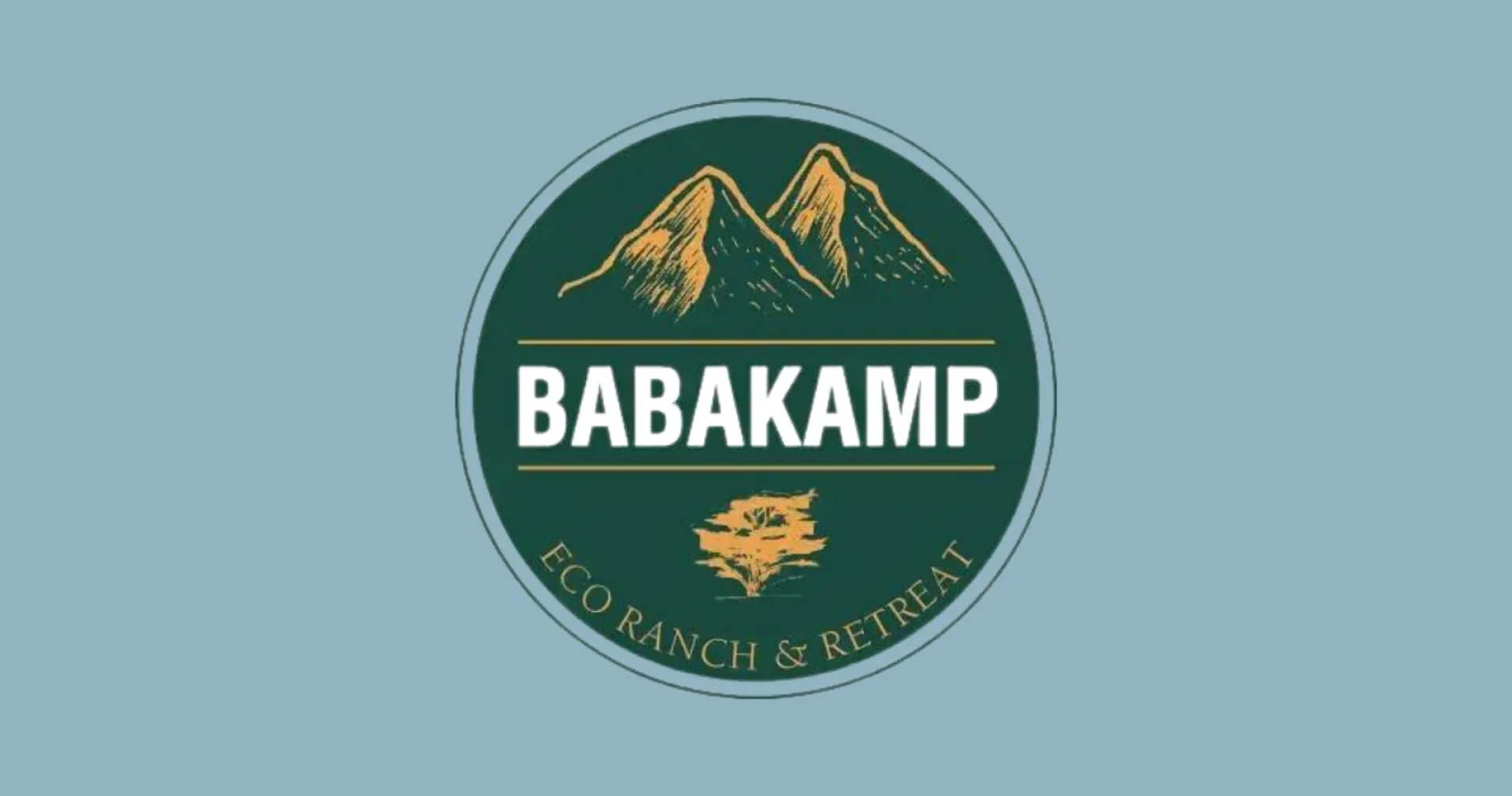 babakamp Dijital Pazarlama,Reklam Ajansı,sosyal medya yönetimi,dijital pazarlama uzmanı,google dijital pazarlam